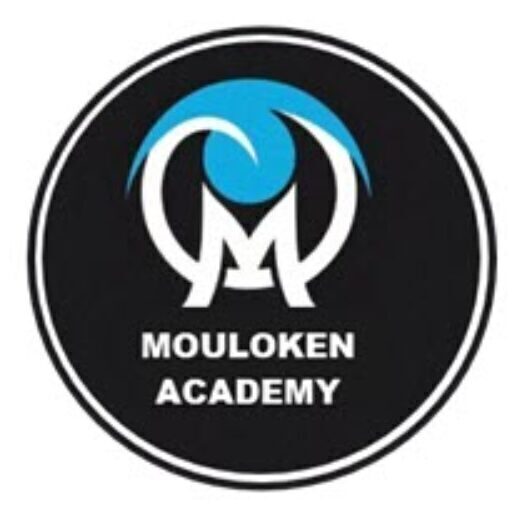 moulokenacademy